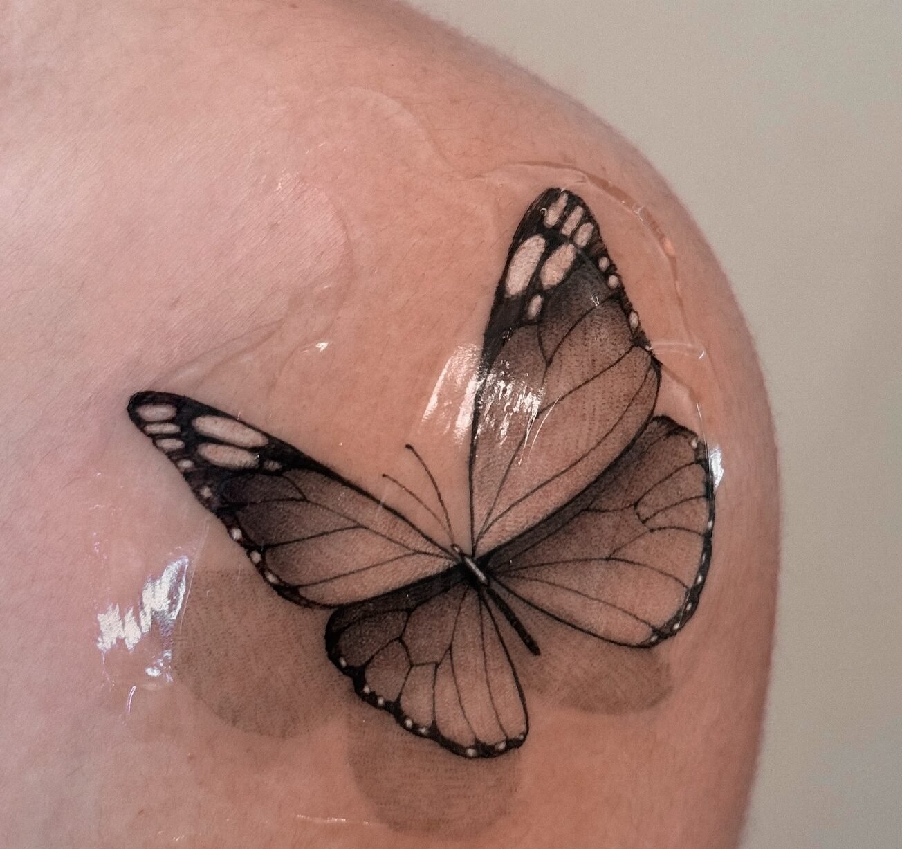 tatuaż motyl 3d kolorowy cena